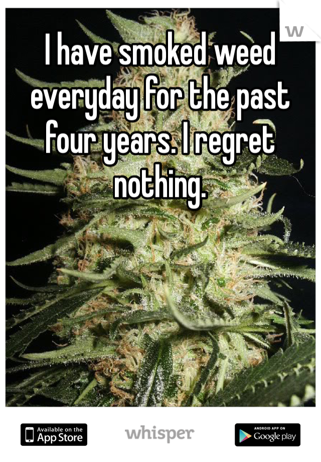 I have smoked weed everyday for the past four years. I regret nothing.