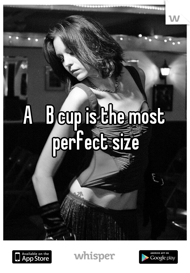 A 	B cup is the most perfect size