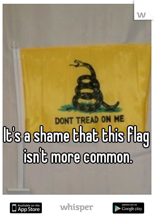 It's a shame that this flag isn't more common.