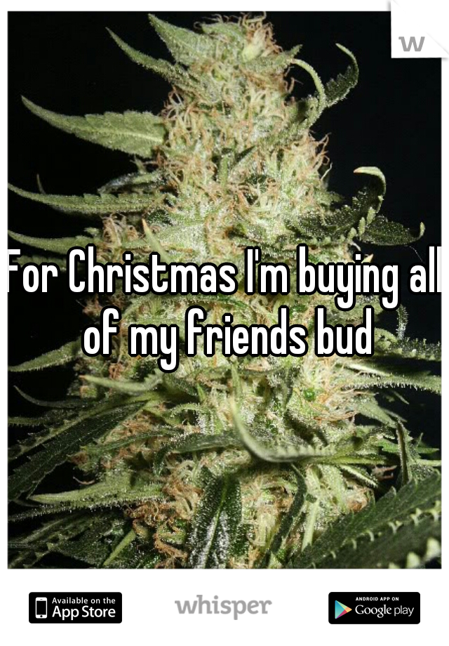 For Christmas I'm buying all of my friends bud