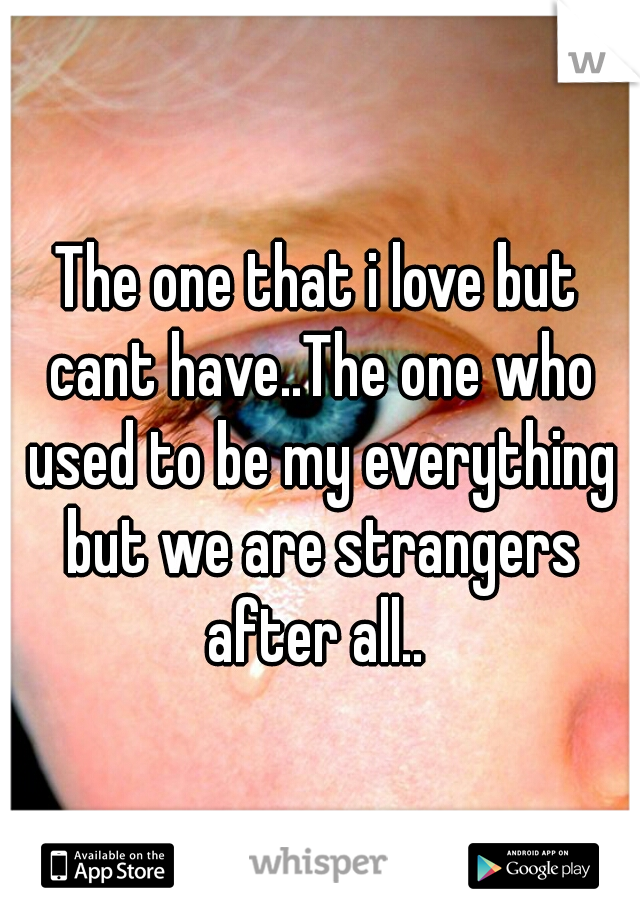 The one that i love but cant have..The one who used to be my everything but we are strangers after all.. 