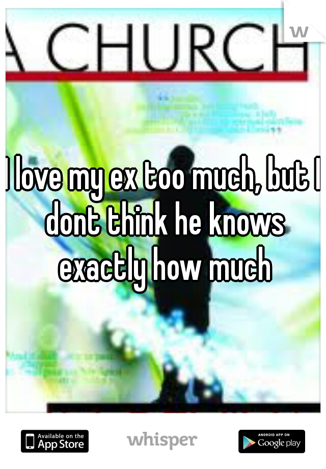 I love my ex too much, but I dont think he knows exactly how much