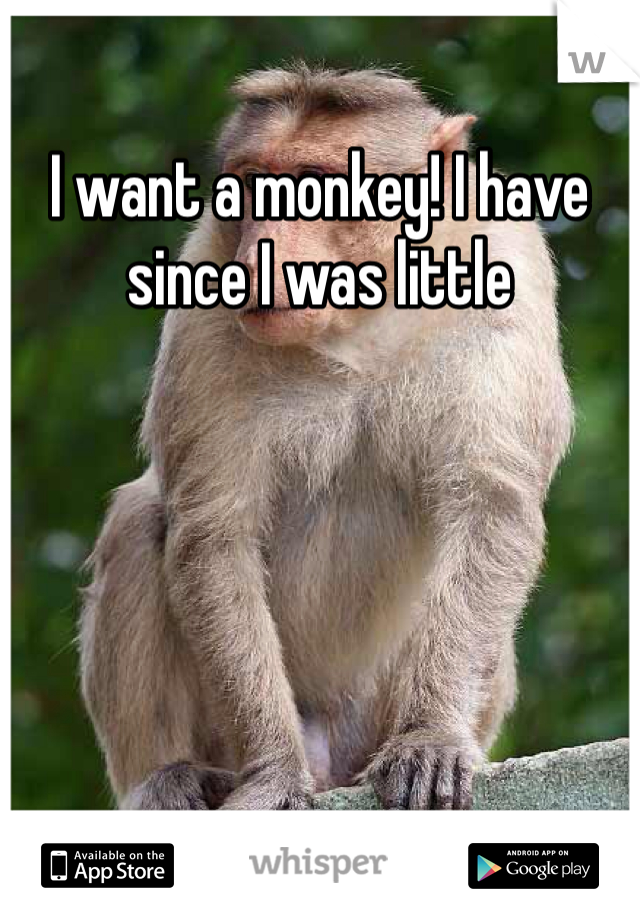 I want a monkey! I have since I was little