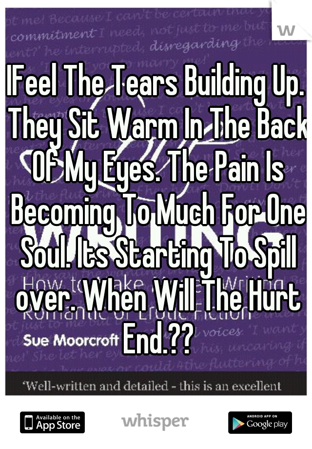 IFeel The Tears Building Up. They Sit Warm In The Back Of My Eyes. The Pain Is Becoming To Much For One Soul. Its Starting To Spill over. When Will The Hurt End.??