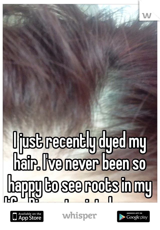 I just recently dyed my hair. I've never been so happy to see roots in my life. Biggest mistake ever. 