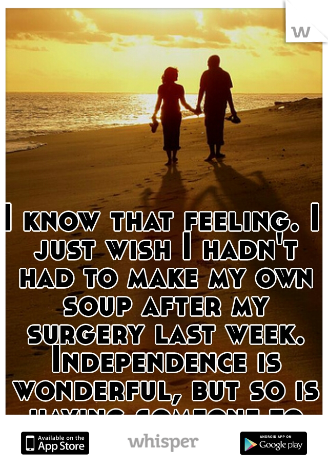 I know that feeling. I just wish I hadn't had to make my own soup after my surgery last week. Independence is wonderful, but so is having someone to rely on. 