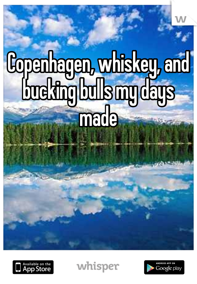 Copenhagen, whiskey, and bucking bulls my days made