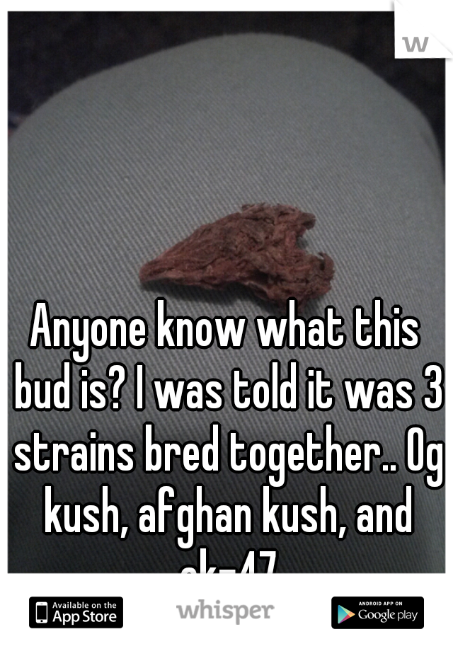 Anyone know what this bud is? I was told it was 3 strains bred together.. Og kush, afghan kush, and ak-47