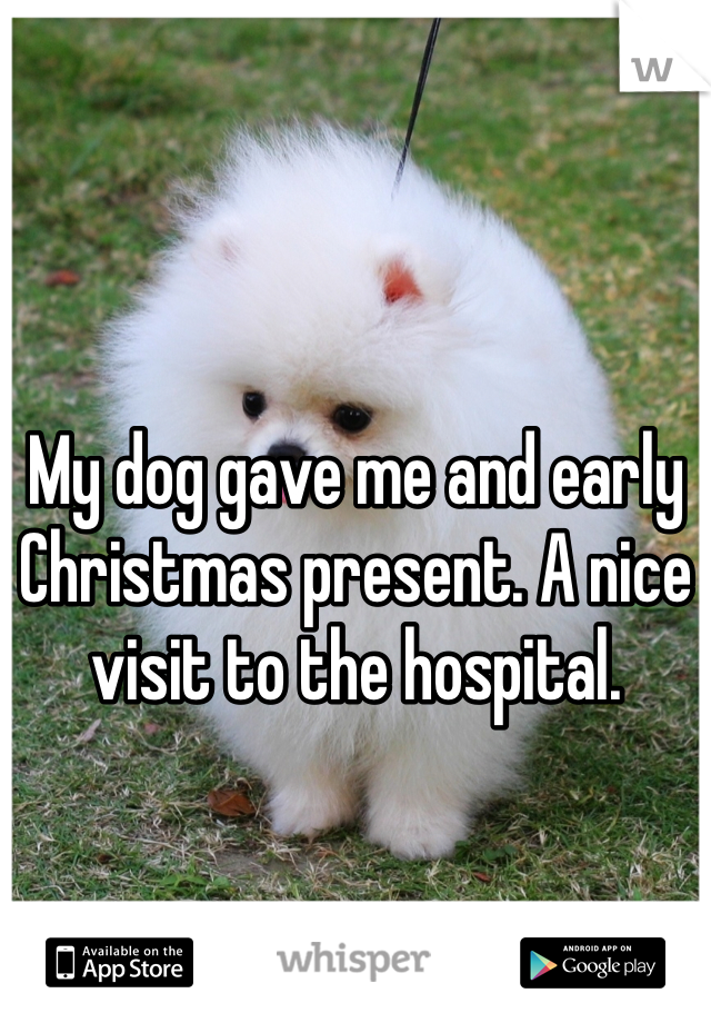 My dog gave me and early Christmas present. A nice visit to the hospital.
