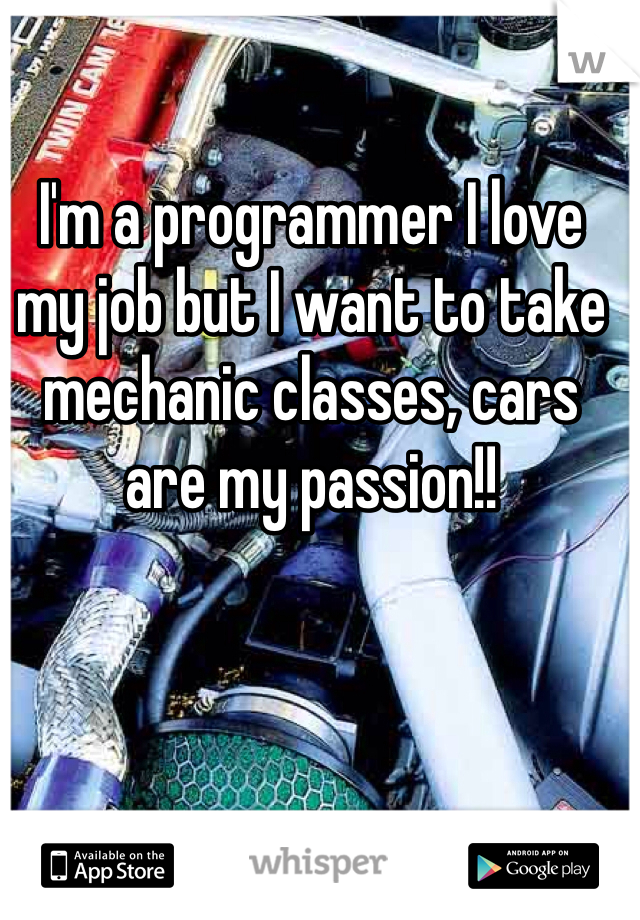 I'm a programmer I love my job but I want to take mechanic classes, cars are my passion!!