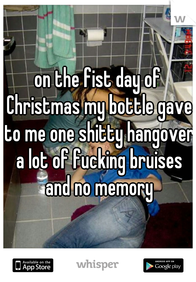 on the fist day of Christmas my bottle gave to me one shitty hangover a lot of fucking bruises and no memory