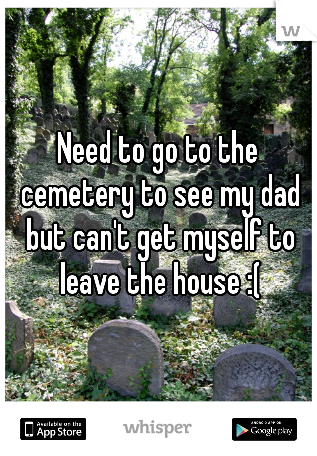 Need to go to the cemetery to see my dad but can't get myself to leave the house :(