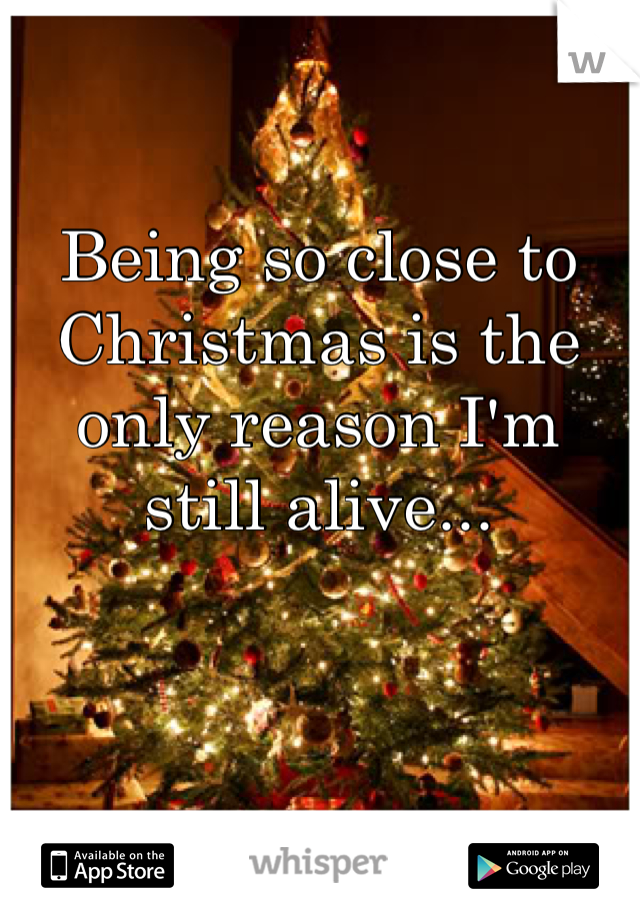 Being so close to Christmas is the only reason I'm still alive...