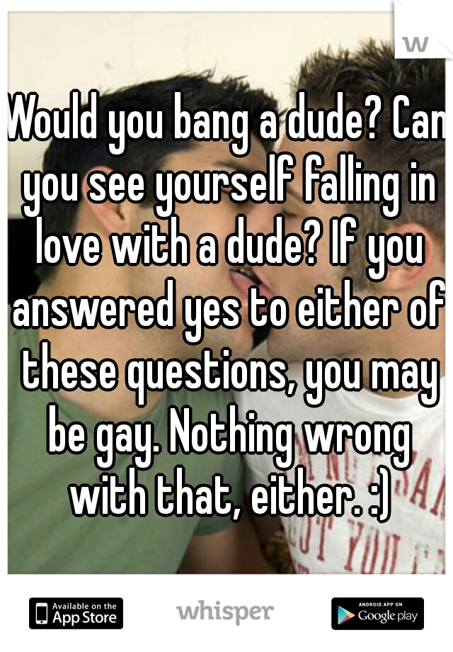 Would you bang a dude? Can you see yourself falling in love with a dude? If you answered yes to either of these questions, you may be gay. Nothing wrong with that, either. :)