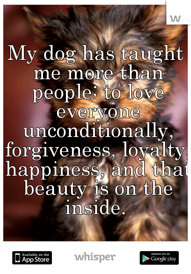 My dog has taught me more than people; to love everyone unconditionally, forgiveness, loyalty, happiness, and that beauty is on the inside. 