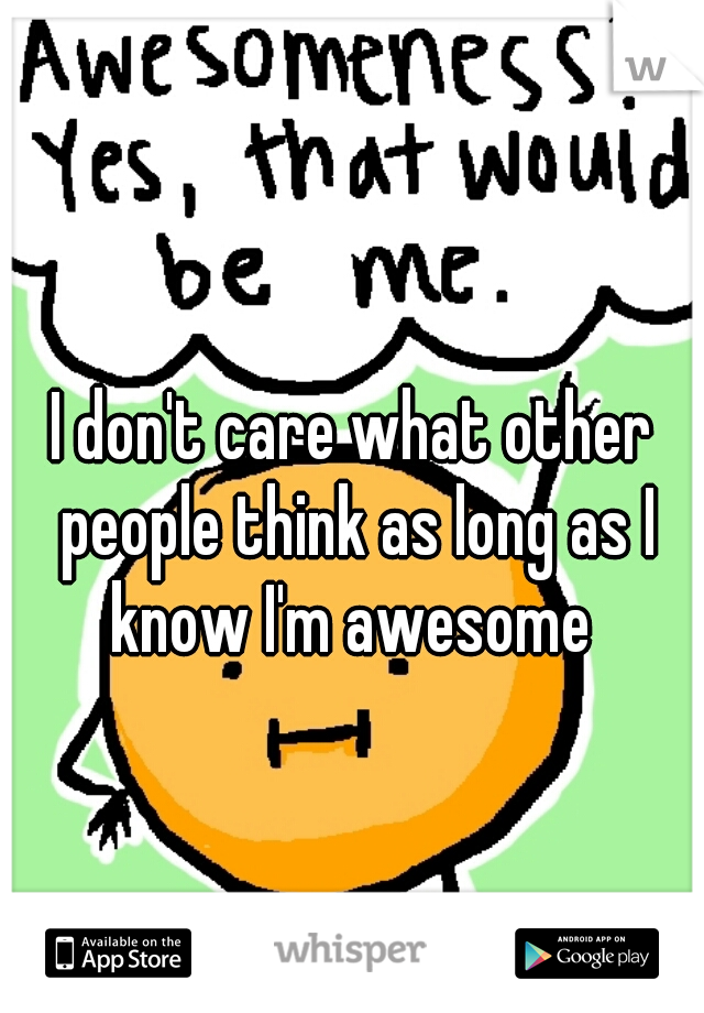 I don't care what other people think as long as I know I'm awesome 