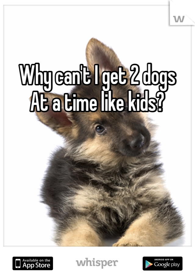 Why can't I get 2 dogs 
At a time like kids?