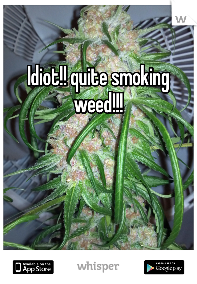 Idiot!! quite smoking weed!!!