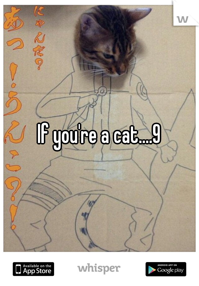 If you're a cat....9