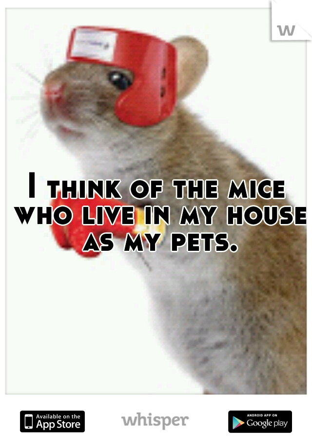 I think of the mice who live in my house as my pets.