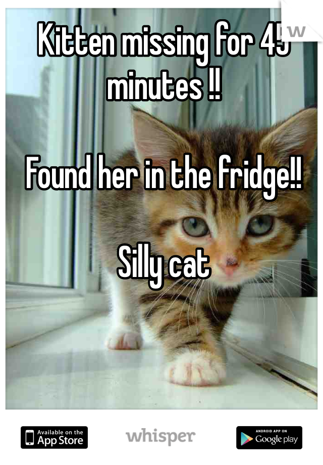 Kitten missing for 45 minutes !!

Found her in the fridge!!

Silly cat