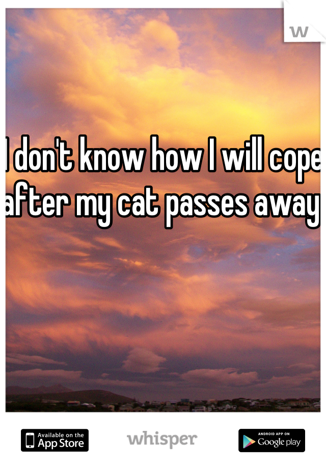 I don't know how I will cope after my cat passes away.
