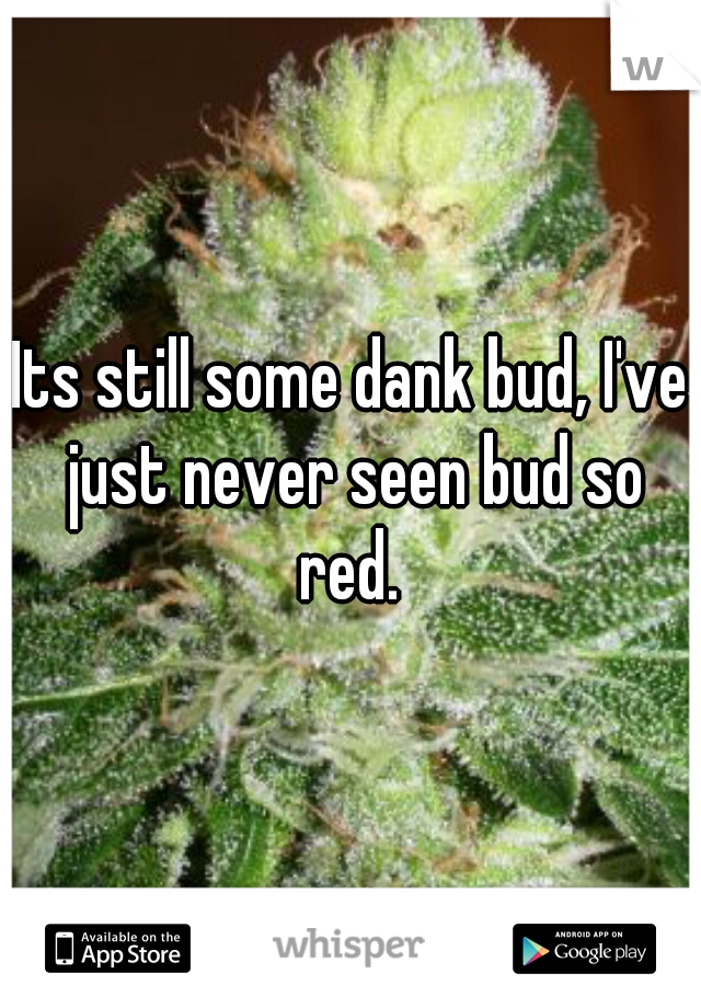 Its still some dank bud, I've just never seen bud so red. 