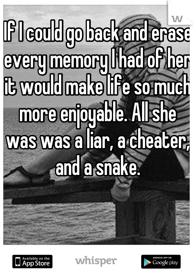 If I could go back and erase every memory I had of her it would make life so much more enjoyable. All she was was a liar, a cheater, and a snake.