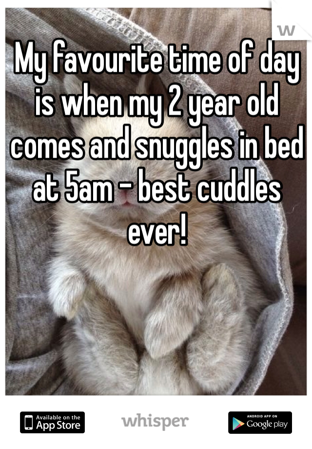 My favourite time of day is when my 2 year old comes and snuggles in bed at 5am - best cuddles ever!