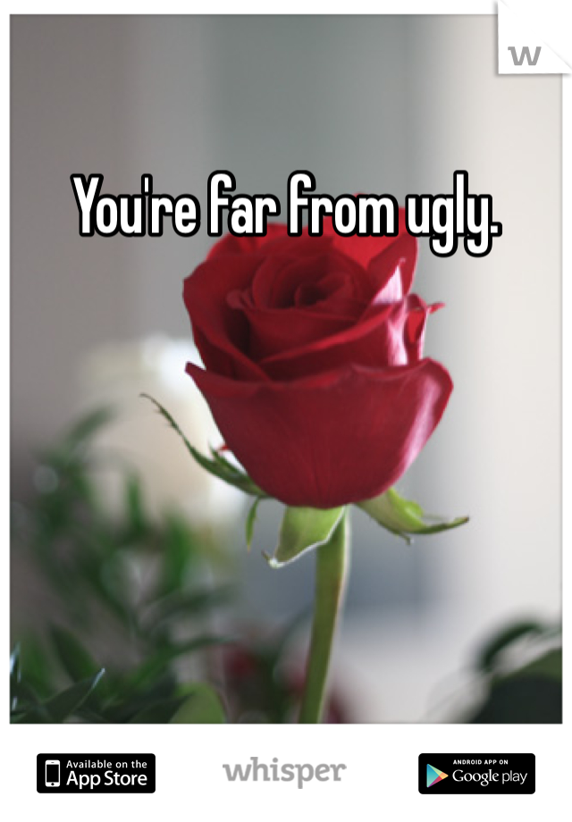You're far from ugly. 