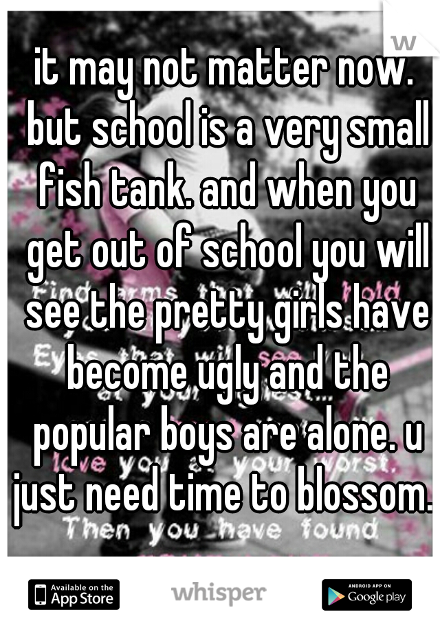 it may not matter now. but school is a very small fish tank. and when you get out of school you will see the pretty girls have become ugly and the popular boys are alone. u just need time to blossom. 