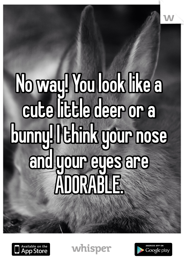 No way! You look like a cute little deer or a bunny! I think your nose and your eyes are ADORABLE. 