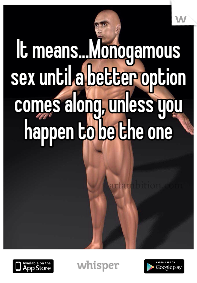 It means...Monogamous sex until a better option comes along, unless you happen to be the one