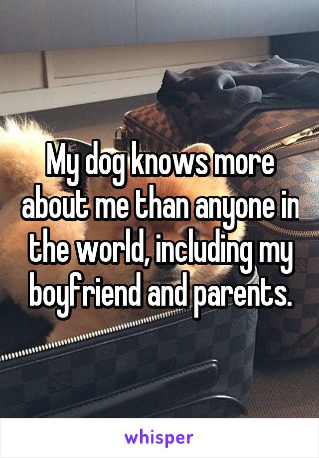 My dog knows more about me than anyone in the world, including my boyfriend and parents.