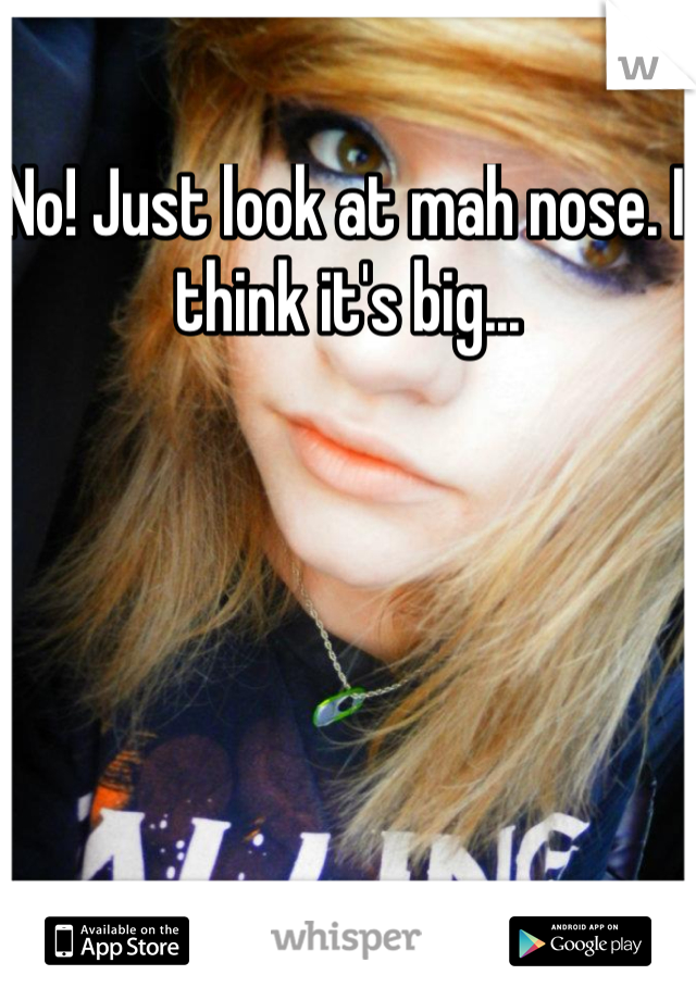 No! Just look at mah nose. I think it's big... 
