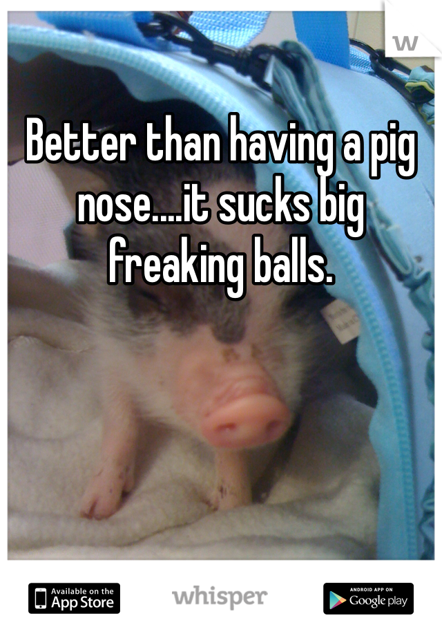 Better than having a pig nose....it sucks big freaking balls.