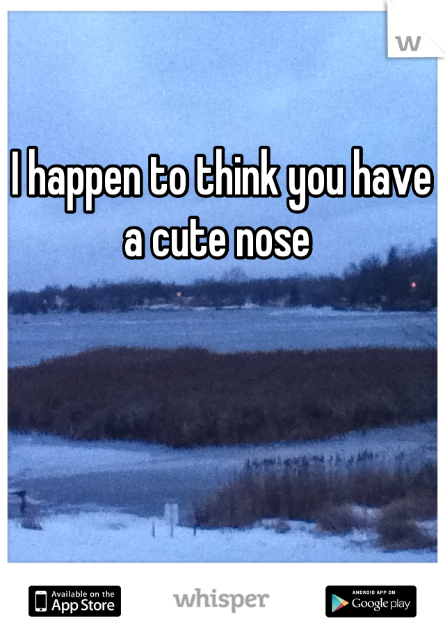 I happen to think you have a cute nose 