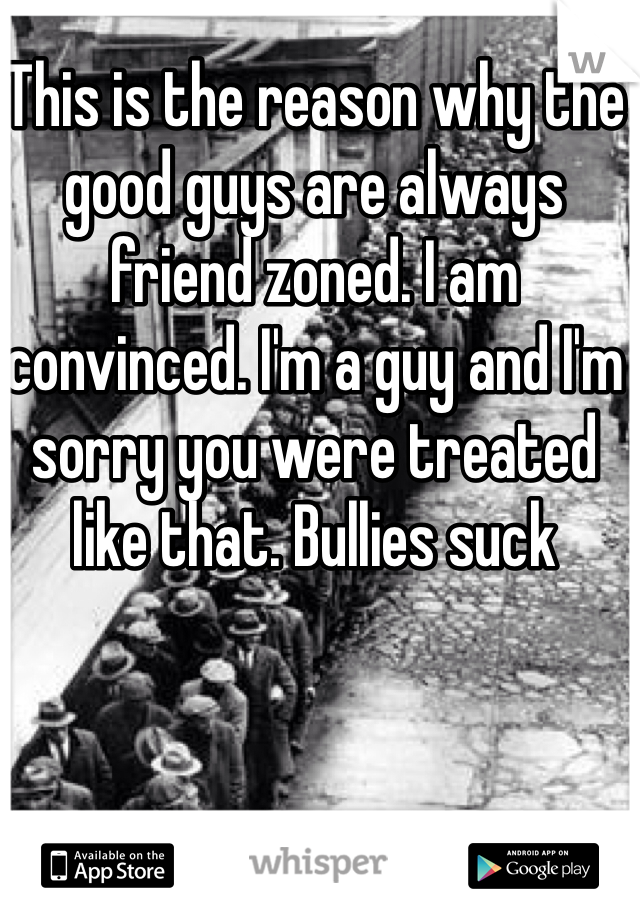 This is the reason why the good guys are always friend zoned. I am convinced. I'm a guy and I'm sorry you were treated like that. Bullies suck