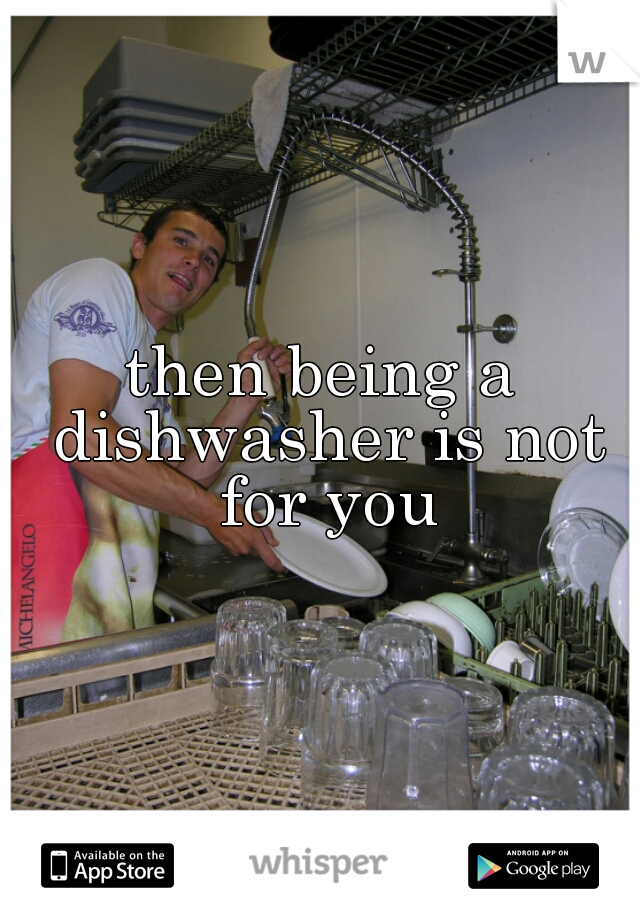 then being a dishwasher is not for you