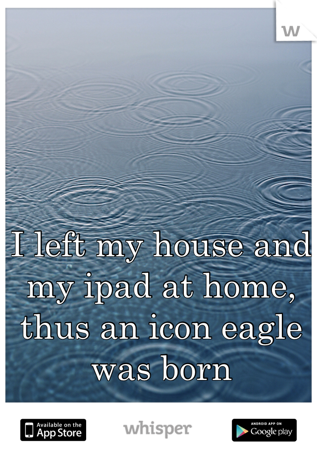 I left my house and my ipad at home, thus an icon eagle was born