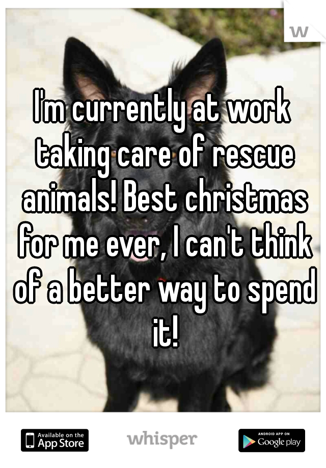 I'm currently at work taking care of rescue animals! Best christmas for me ever, I can't think of a better way to spend it!