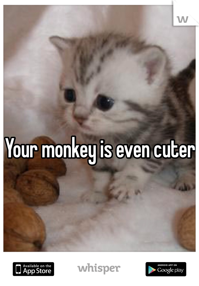 Your monkey is even cuter