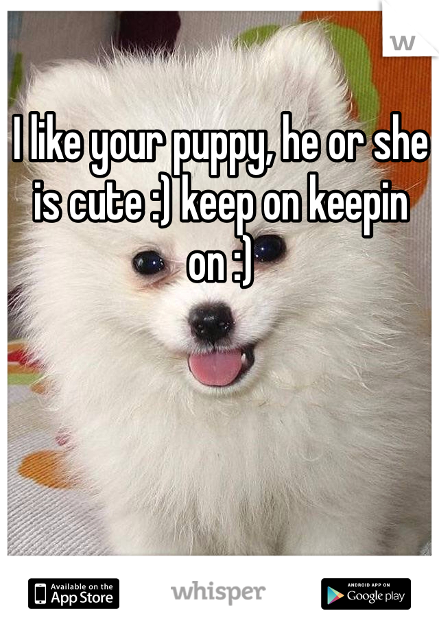 I like your puppy, he or she is cute :) keep on keepin on :) 