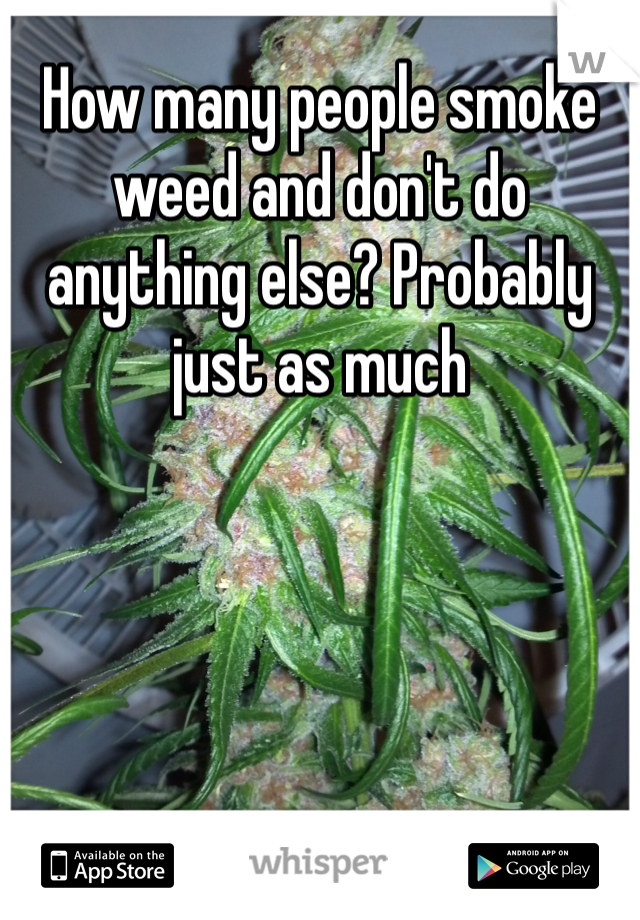 How many people smoke weed and don't do anything else? Probably just as much