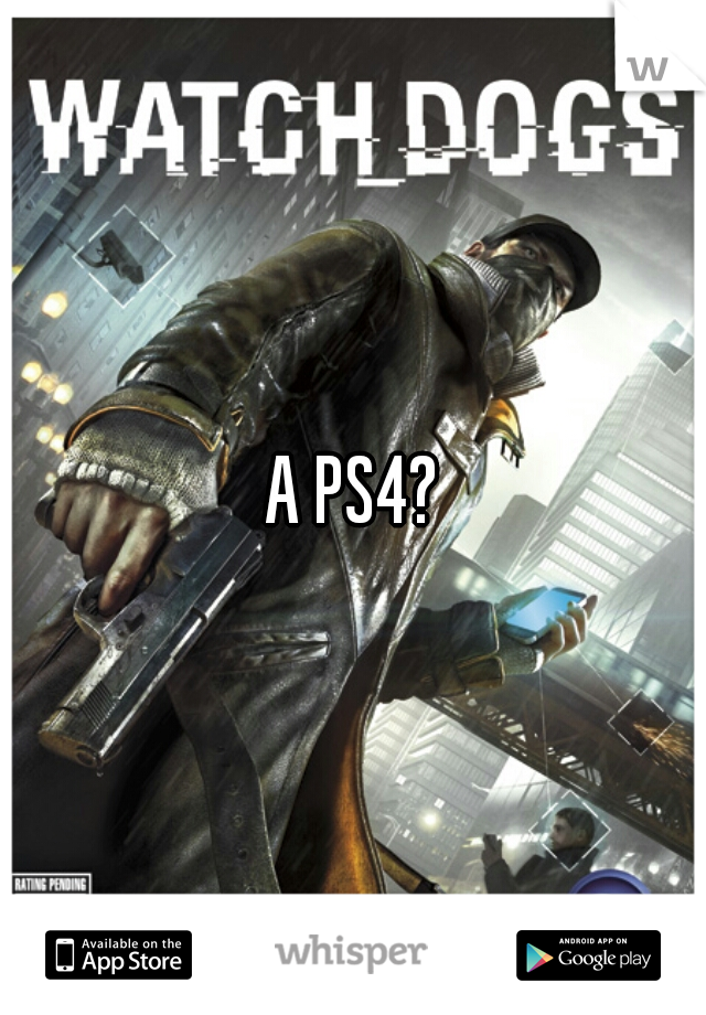A PS4?