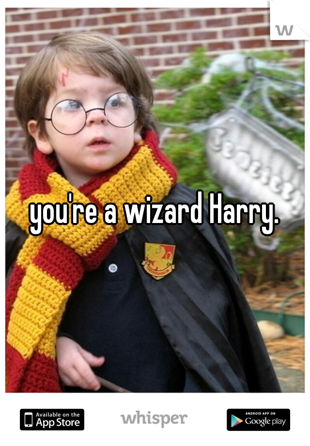 you're a wizard Harry.
