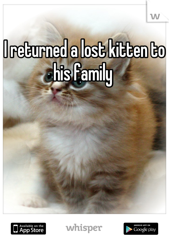 I returned a lost kitten to his family 