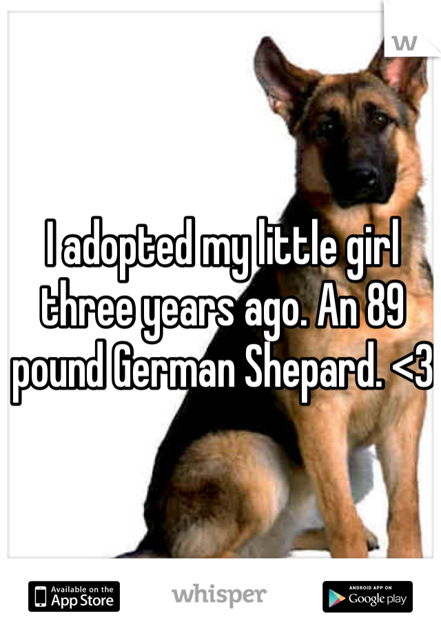I adopted my little girl three years ago. An 89 pound German Shepard. <3