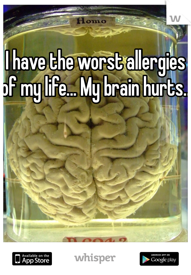 I have the worst allergies of my life... My brain hurts..