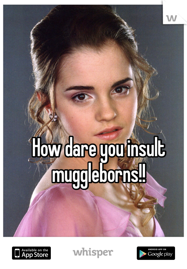 How dare you insult muggleborns!!